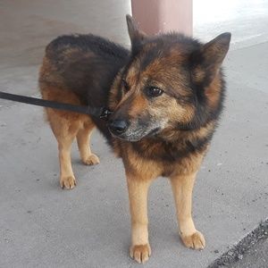 Meet your Posher, Ailah